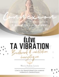 image-conference-marie-andree-lavoie