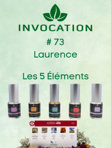 image conférence - Laurence Gaubert